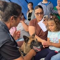 Zilele Porților Deschise, la Centrul Chinologic Sibiu: Copiii pot descoperi lumea fascinantă a câinilor de serviciu