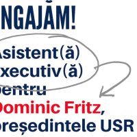 Dominic Fritz face angajări la USR: caută un asistent executiv la început de carieră, “care scrie și vorbește bine, dar care tace când trebuie”