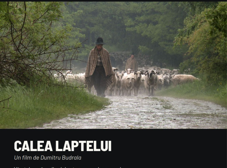 Transhumanța, ultima frontieră: Premiera documentarului „Calea Laptelui”, în regia lui Dumitru Budrala, la Astra Film Festival 2026