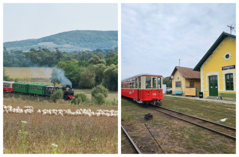 Mocănița Sibiu-Agnita, o moștenire istorică pe care voluntarii o păstrează vie în Valea Hârtibaciului
