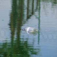Microplasticele în apă pot declanșa reacții chimice periculoase. Ce au descoperit cercetătorii despre efectele asupra celulelor