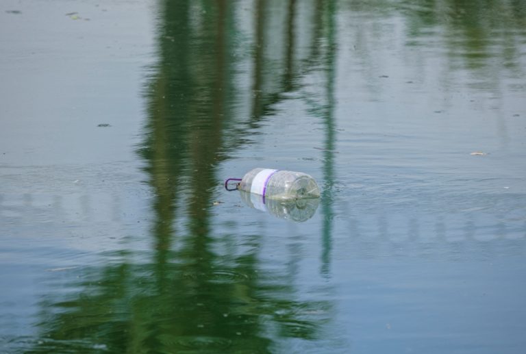 Microplasticele în apă pot declanșa reacții chimice periculoase. Ce au descoperit cercetătorii despre efectele asupra celulelor