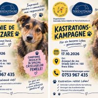 Sterilizări gratuite pentru câini, la Arpașu de Jos. Campanie dedicată în special cățelușelor