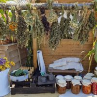 Atelier de zacuscă la Muzeul ASTRA din Sibiu. Vizitatorii vor descoperi secretele conservelor tradiționale